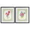 Stupell Industries Cottage Botanical Story 2pc Framed Print Under Glass Set, design by Lee Ann Sanders